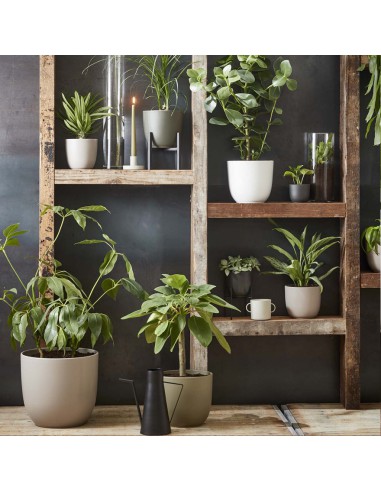 COPRIVASO CERAMICA HENDRICK  OVAL BROWN - L 42