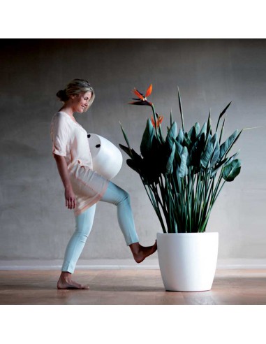 VASO CON RUOTE BRUSSELS BIANCO - ELHO