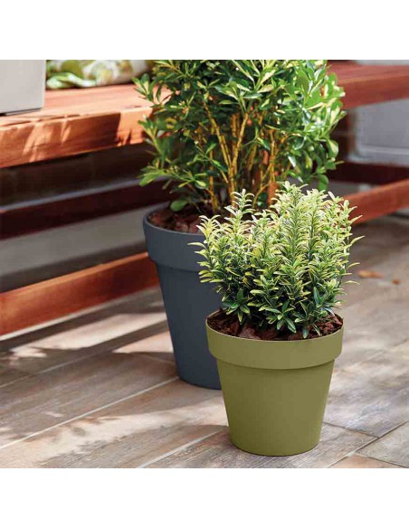 VASO ROTONDO CLEO VECA - COLORE ANTRACITE