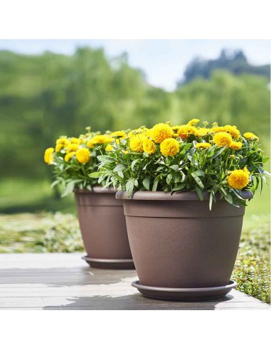 SOTTOVASO TONDO NAXOS COLORE TERRACOTTA - VECA