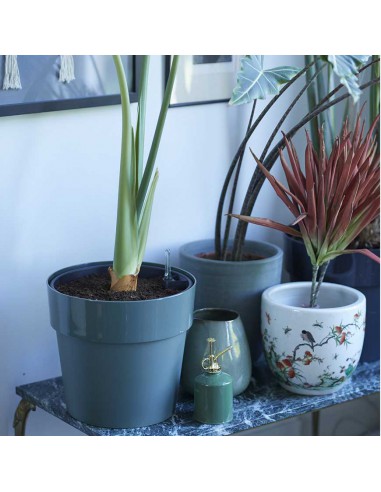 Vaso Per Piante Elho 40 Cm - Grigio Scuro - Fioriera In Plastica Resistente Per Interni/Esterni - Capacità 8 Litri