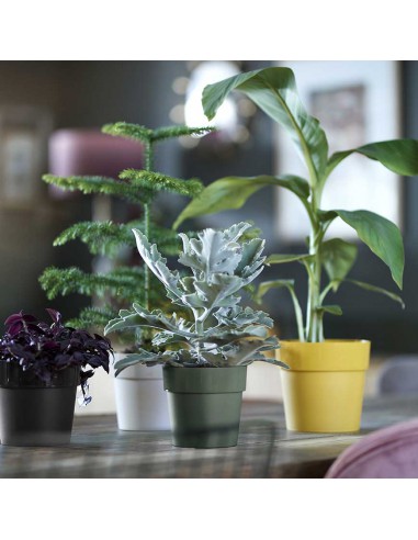 VASO PER PIANTE ROTONDO ELHO - BIANCO