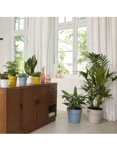 VASO PER PIANTE ROTONDO ELHO - BIANCO