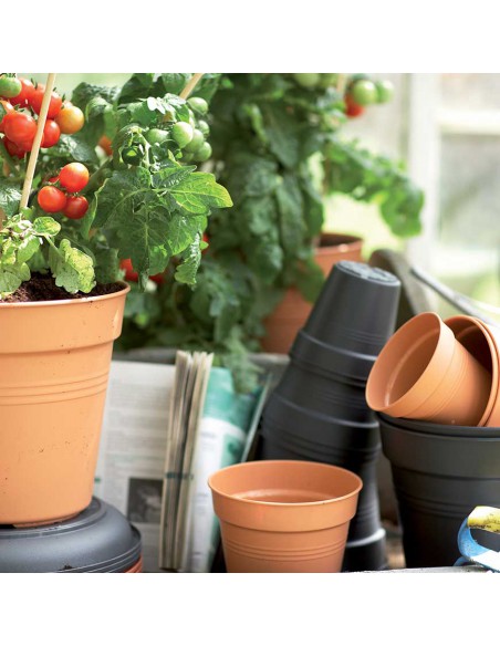 VASO DA COLTIVAZIONE GREEN BASICS - COLORE VERDE