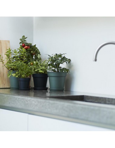 SOTTOVASO ROTONDO VERDE