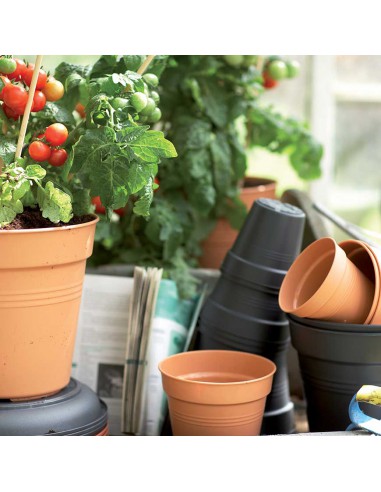 SOTTOVASO ROTONDO VERDE