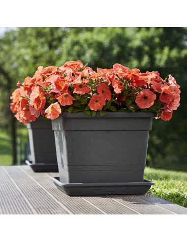 VASO QUADRATO TERRACOTTA