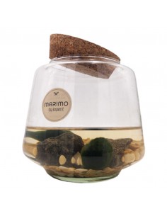 MARIMO Diametro 13 Cm Altezza 25 Cm