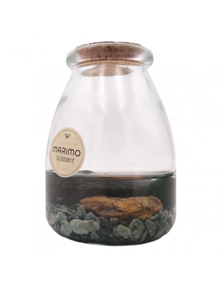 MARIMO Diametro 8 Cm Altezza 15 Cm