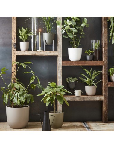 COPRIVASO HENDRICK GOLD - L28XW16XH21CM