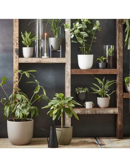 COPRIVASO HENDRICK GOLD - L28XW16XH21CM