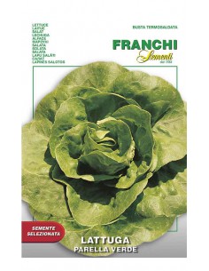 SEMI LATTUGA PARELLA VERDE insalate fresche e gustose