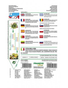 SEMI LATTUGA PARELLA VERDE insalate fresche e gustose 2