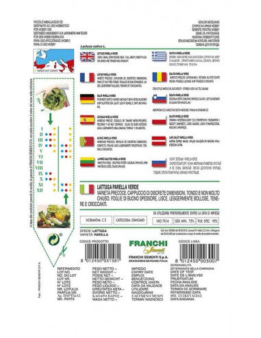 SEMI LATTUGA PARELLA VERDE insalate fresche e gustose