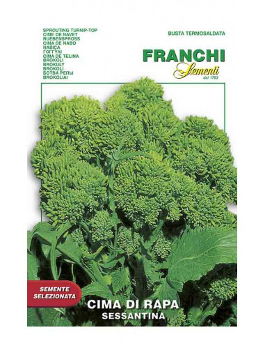 SEMI CIMA DI RAPA 60 giorni, fresco e ricco di sapore