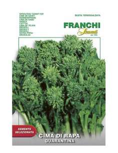 SEMI CIMA DI RAPA 40 giorni fresca e gustosa, amarognolo