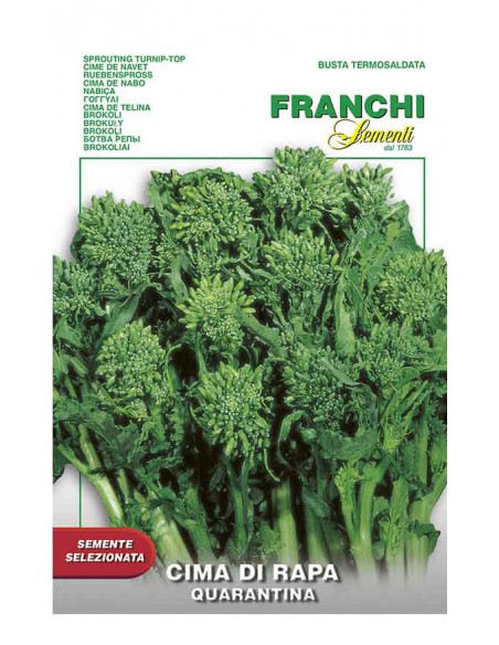 CIMA DI RAPA 40 giorni