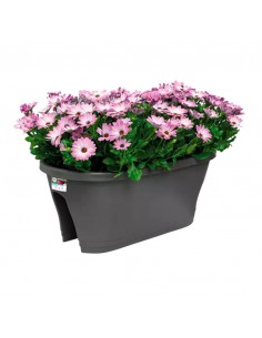 VASO FIORIERA DA BALCONE DIMENS. 60 CM - ANTRACITE