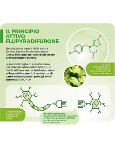 PG SANIUM SL PE 5ML INSETTICIDA SISTEMICO per orticole 2