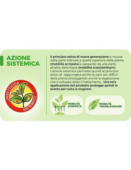 PG SANIUM SL PO INSETTICIDA SISTEMICO Azione rapida