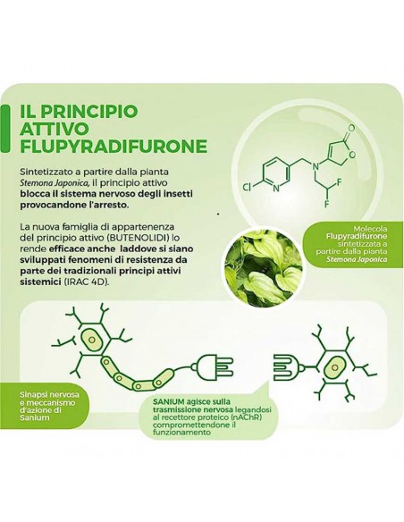 PG SANIUM SL PO INSETTICIDA SISTEMICO Azione rapida