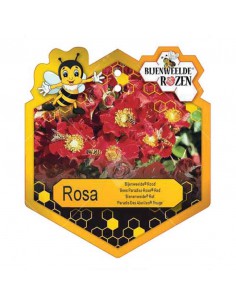 ROSA RED BEES PARADISE BUSH Vaso diam. 19 cm 2