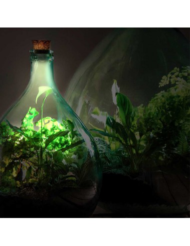 TAPPO IN SUGHERO PER ECO SISTEMA CON LED