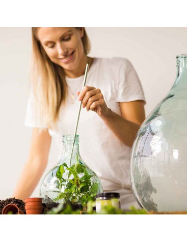 SET TERRARIUM 15L COMPLETO ATTREZZI TERRICCIO SASSI CARBONI ATTIVI