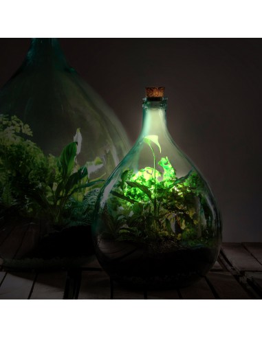 SET TERRARIUM 15L COMPLETO ATTREZZI TERRICCIO SASSI CARBONI ATTIVI