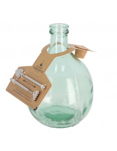 SET ECOSISTEMA TERRARIUM IN  VETRO 5 LT+2 ATTREZZI 2
