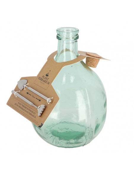 SET ECOSISTEMA TERRARIUM IN  VETRO 5 LT+2 ATTREZZI