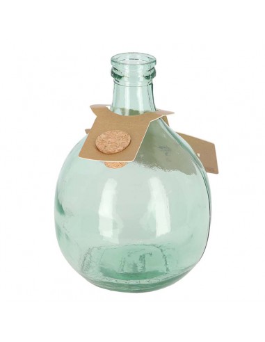 SET ECOSISTEMA TERRARIUM IN  VETRO 5 LT+2 ATTREZZI