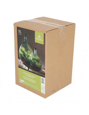 SET ECOSISTEMA TERRARIUM IN  VETRO 5 LT+2 ATTREZZI