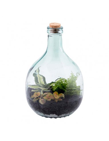 SET ECOSISTEMA TERRARIUM IN  VETRO 5 LT+2 ATTREZZI