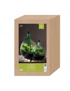 SET TERRARIUM CONTENITORE VETRO 35 LT CON 2 ATTREZZI 2