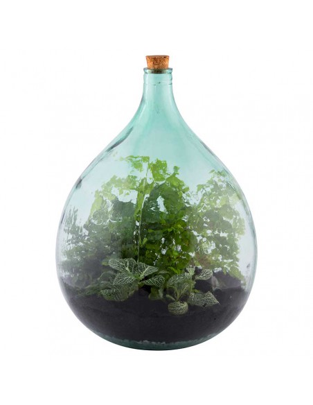 SET TERRARIUM CONTENITORE VETRO 55 LT CON 2 ATTREZZI