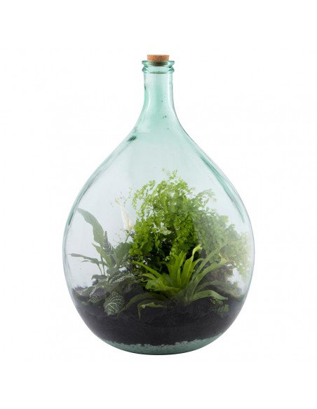SET TERRARIUM CONTENITORE VETRO 55 LT CON 2 ATTREZZI