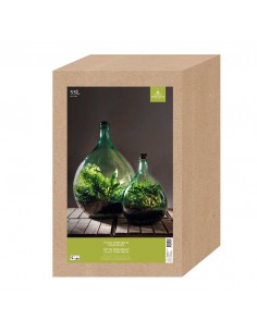 SET TERRARIUM CONTENITORE VETRO 55 LT CON 2 ATTREZZI 2