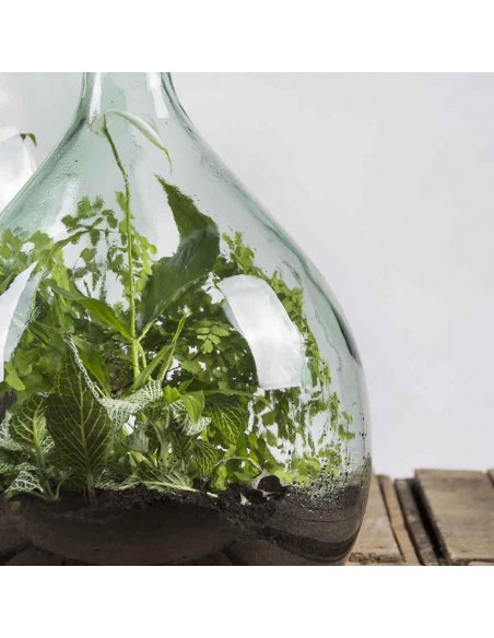 SET TERRARIUM CONTENITORE VETRO 55 LT CON 2 ATTREZZI