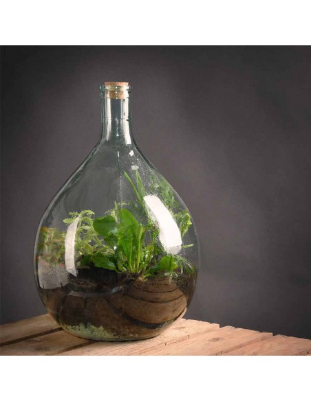 SET TERRARIUM CONTENITORE VETRO 55 LT CON 2 ATTREZZI