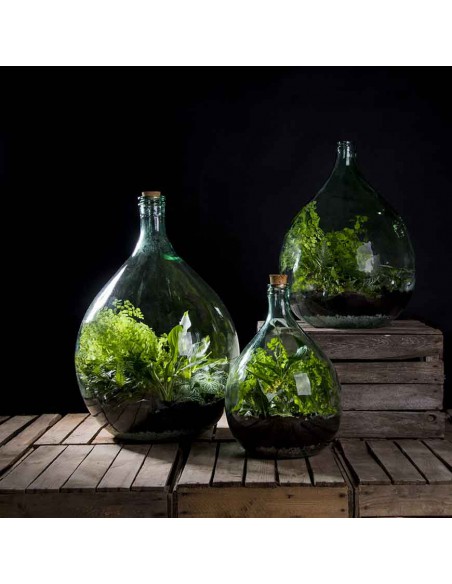 SET TERRARIUM CONTENITORE VETRO 55 LT CON 2 ATTREZZI