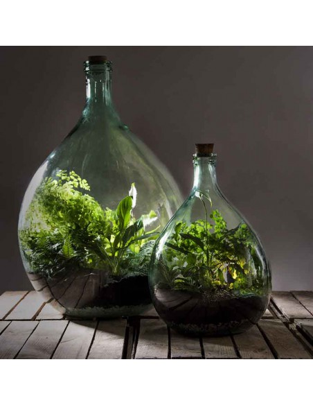 SET TERRARIUM CONTENITORE VETRO 55 LT CON 2 ATTREZZI