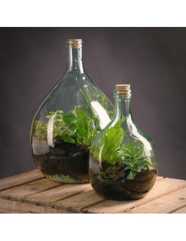 ATTREZZO PER TERRARIUM CON PINZA