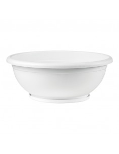 CIOTOLA NAXOS CON SOTTOVASO AD INCASTRO BIANCO