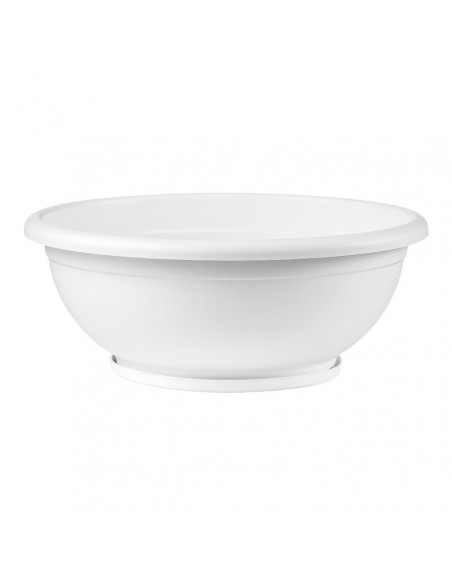 CIOTOLA NAXOS CON SOTTOVASO AD INCASTRO BIANCO