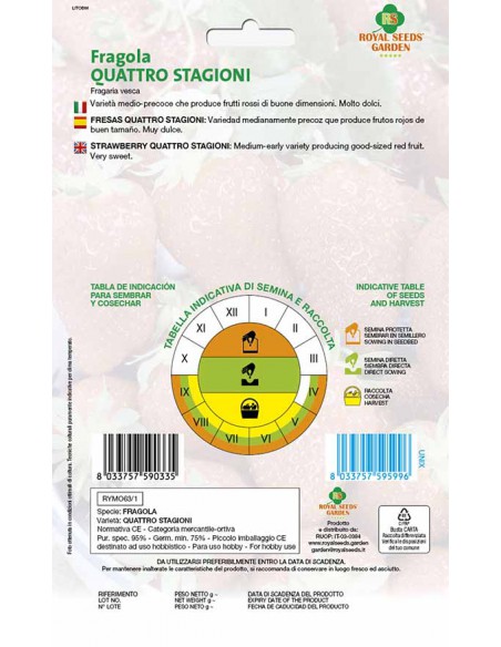 FRAGOLA QUATTRO STAGIONI MAXI