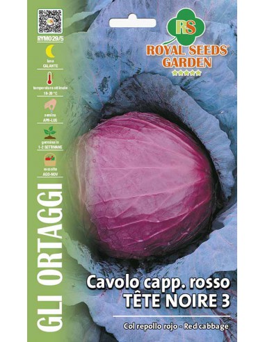 CAVOLO CAPPUCCIO ROSSO "TETE NOIRE"  MAXI