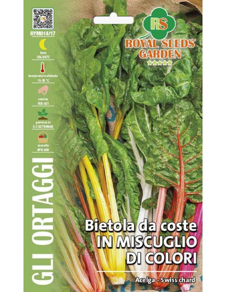 SEMI DI MIX BIETOLE A COSTE COLORATE Qualità extra