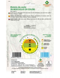 SEMI DI MIX BIETOLE A COSTE COLORATE Qualità extra 2
