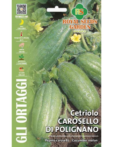 SEMI DI CETRIOLO CAROSELLO DI POLIGNANO